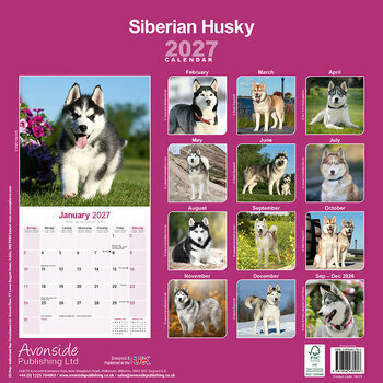 Calendrier 2027 Siberian Husky