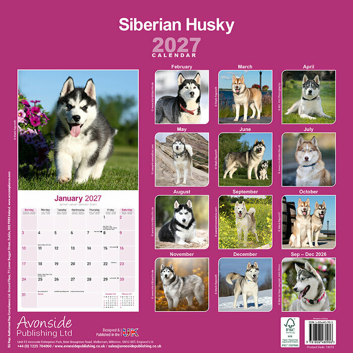 Calendrier papier 2027 Siberian Husky