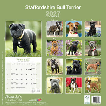 Calendrier 2027 Staffordshire Bull Terrier