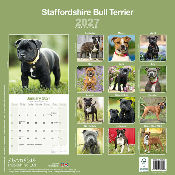 Calendrier Mural Staffordshire Bull Terrier 2027