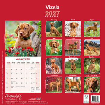 Calendrier 2027 Vizsla