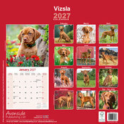 Calendrier 2027 Vizsla Calendrier papier Vizsla 2027