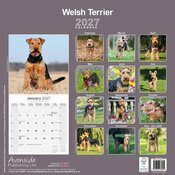Calendrier papier 2027 Welsh terrier