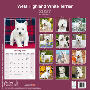 Calendrier 2027 West Highland White Terrier