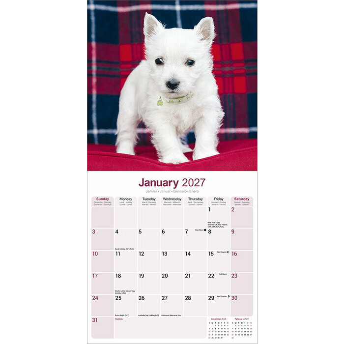 Calendrier race Westie 2027