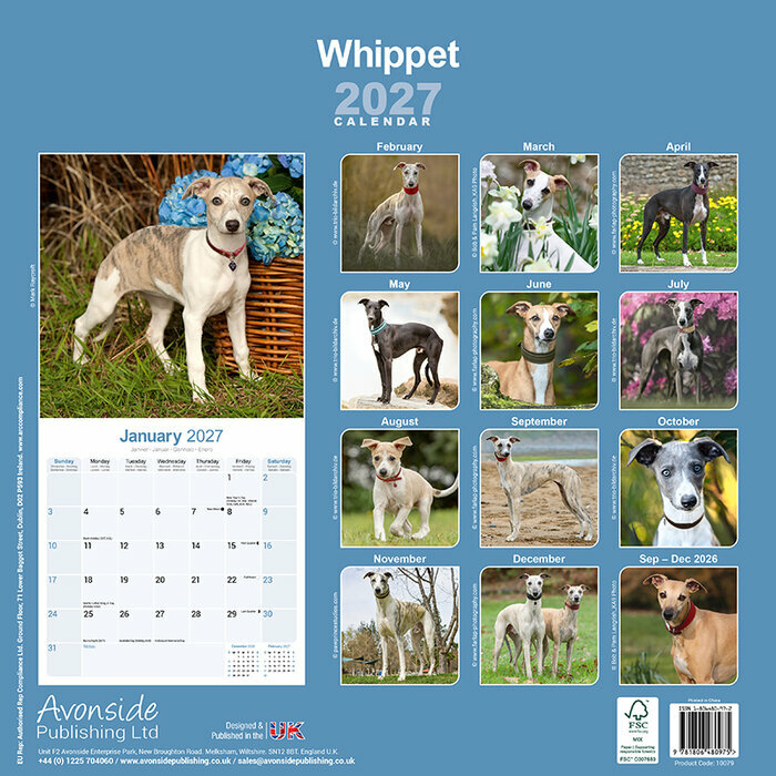 Calendrier 2027 Whippet L�vrier 