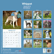 Calendrier 2027 Whippet L�vrier 