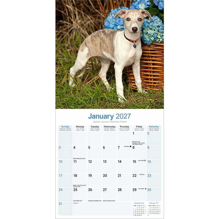 Calendrier papier 2027 Whippet L�vrier 