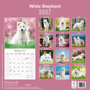 Calendrier 2027 Berger Blanc Suisse