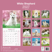 Calendrier 2027 Berger blanc suisse