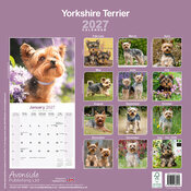 Calendrier 2027 Yorkshire Terrier Calendrier Papier 2027 Yorkshire