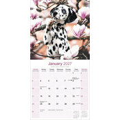 Calendrier 2027 Chiots Dalmatien Calendrier papier 2027 Dalmatien chiot