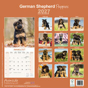 Calendrier 2027 Berger Allemand chiot