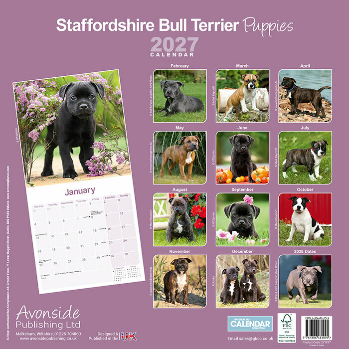Calendrier Mural papier Staffie 2027