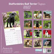 Calendrier Mural papier Staffie 2027