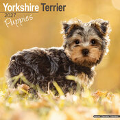 Calendrier Mural Yorkshire 2027