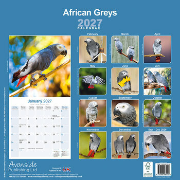 Calendrier 2027 Perroquet Gris du Gabon