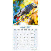 Calendrier 2027 Perroquet Gris du Gabon Calendrier papier Perroquet Gris du Gabon 2027