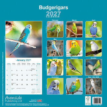 Calendrier 2027 Oiseaux Perruche