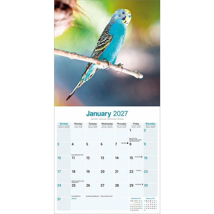 Calendrier 2027 Oiseaux Perruche Calendrier 2027 Perruche Ondulées