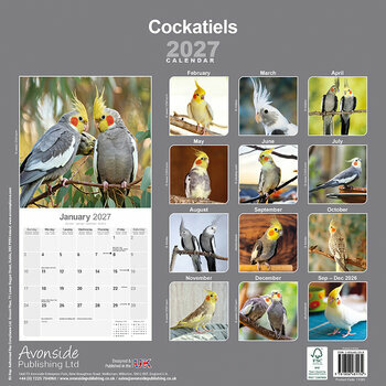 Calendrier 2027 Perruche Calopsitte