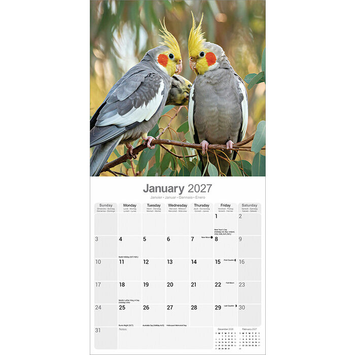 Calendrier papier Perruche Calopsitte 2027