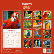 Calendrier 2027 Perroquet Ara Macaw Calendrier Ara Perroquet 2027