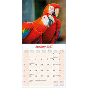 Calendrier 2027 Perroquet Ara Macaw Calendrier Ara Perroquet papier 2027