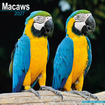 Calendrier 2027 Perroquet Ara Macaw