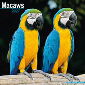 Calendrier 2027 Perroquet Ara Macaw Calendrier Ara Perroquet Bleu et Jaune 2027