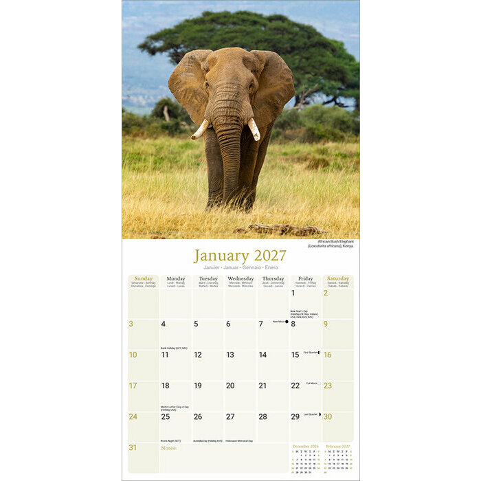 Calendrier 2027 Animaux sauvages Calendrier 2027 Animaux sauvages Girafe