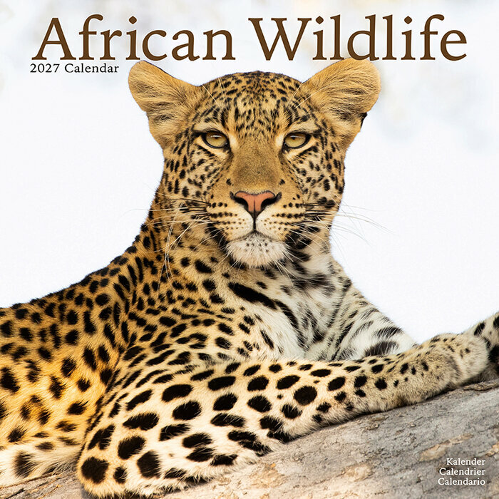 Calendrier 2027 Animaux sauvages Calendrier Papier 2027 Animaux sauvages
