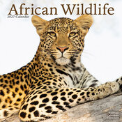 Calendrier 2027 Animaux sauvages Calendrier Papier 2027 Animaux sauvages