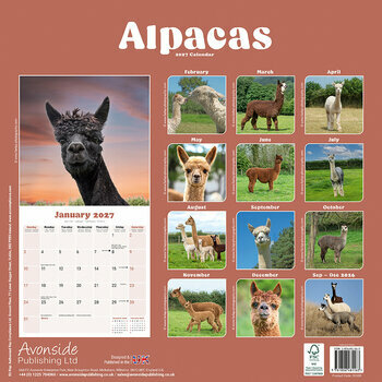 Calendrier 2027 Lama Alpaga