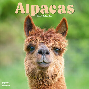 Calendrier 2027 Lama Alpaga