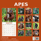 Calendrier Mural 2027 Singe et Gorille