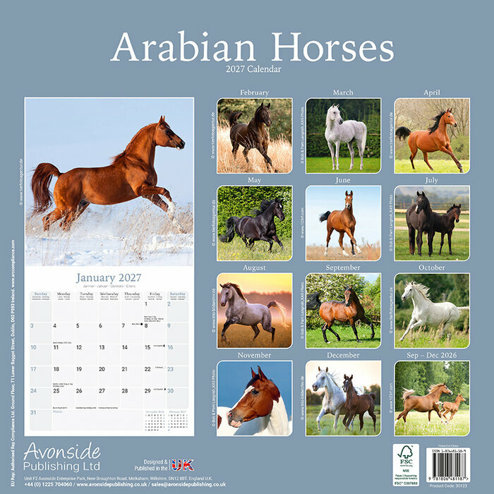 Calendrier Mural 2027 Chevaux Arabes
