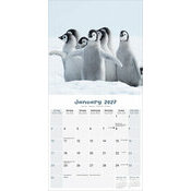 Calendrier Golden B�b�s Animaux Mignons