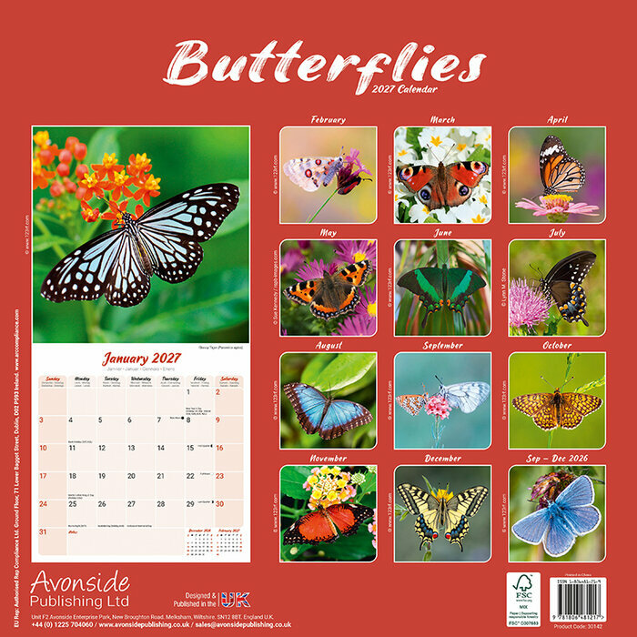 Calendrier Mural 2027 Papillon