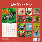 Calendrier Mural 2027 Papillon