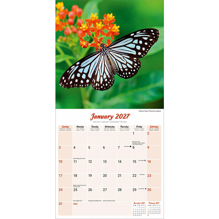Calendrier Papier 2027 Papillon