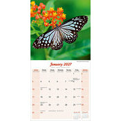 Calendrier Papier 2027 Papillon