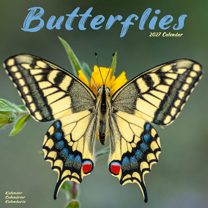 Calendrier 2027 Insecte Papillon