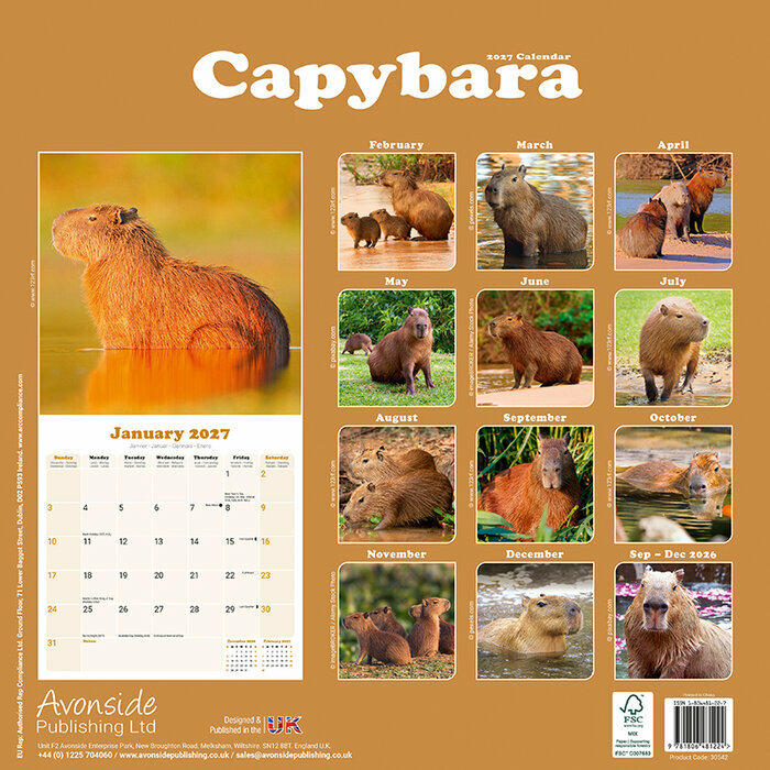 Calendrier 2027 Capybara Cabiai Calendrier Papier 2027 Capybara Cabiai