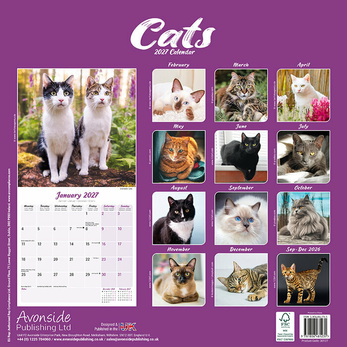 Calendrier 2027 Chats toutes couleurs Calendrier Papier 2027 Chats toutes couleurs