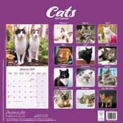 Calendrier 2027 Chats toutes couleurs Calendrier Papier 2027 Chats toutes couleurs