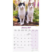 Calendrier 2027 Chats toutes couleurs Calendrier 2027 Chats toutes couleurs