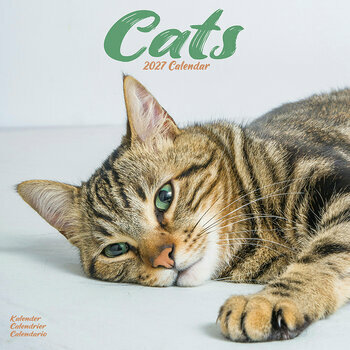 Calendrier 2027 Chats toutes couleurs