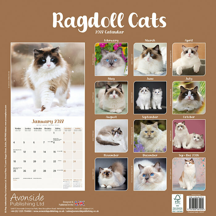 Calendrier 2027 Chat de Race Ragdoll Calendrier Papier 2027 Chat de Race Ragdoll