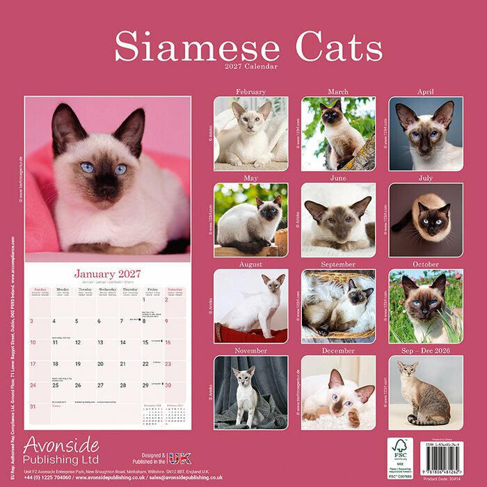 Calendrier Papier 2027 Chat Siamois